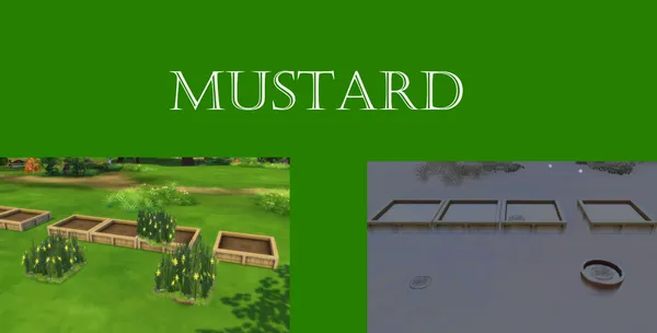 Mustard Harvestable
